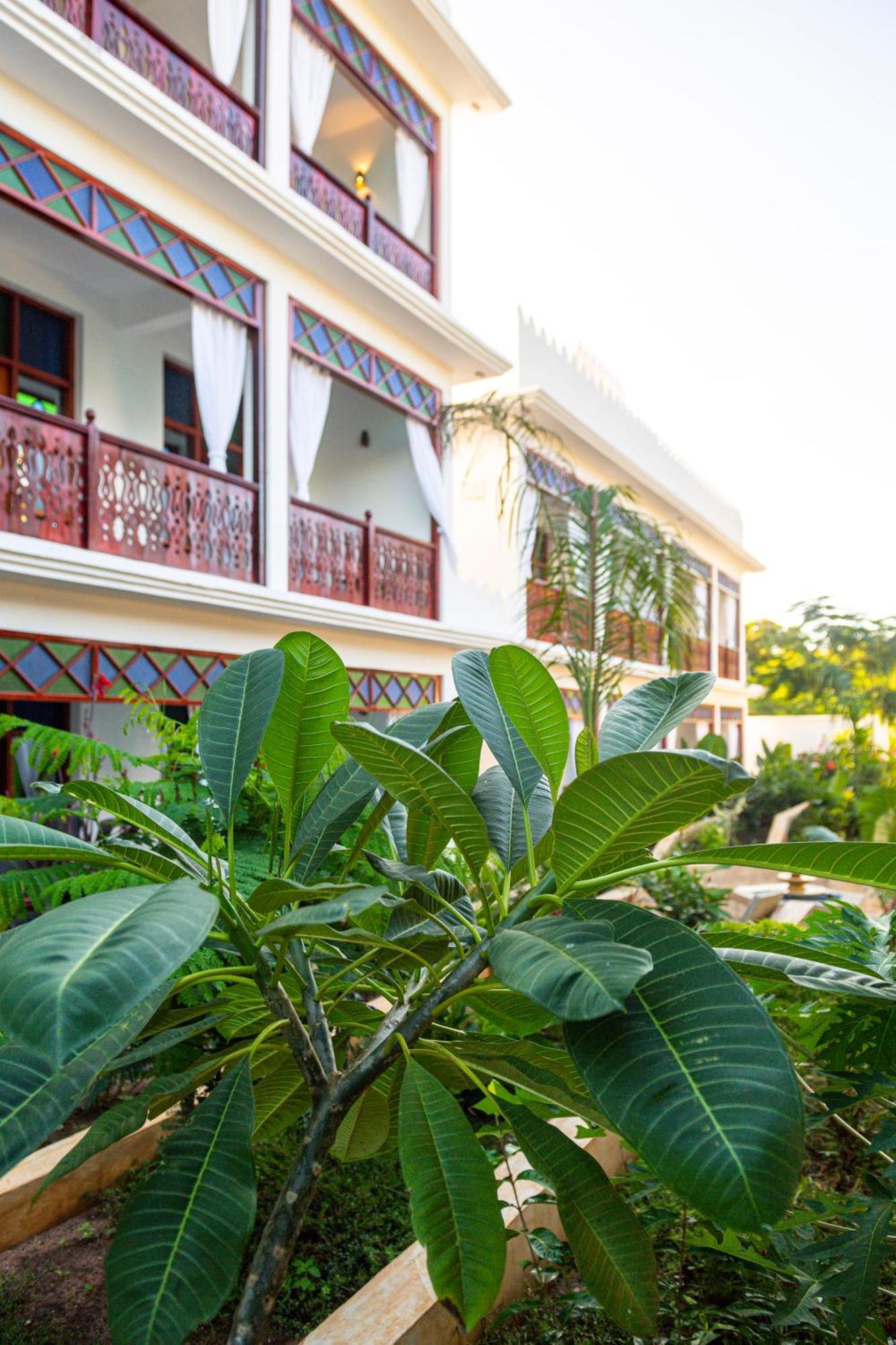 Tasneem Islamic Luxury Suites Jambiani  Extérieur photo